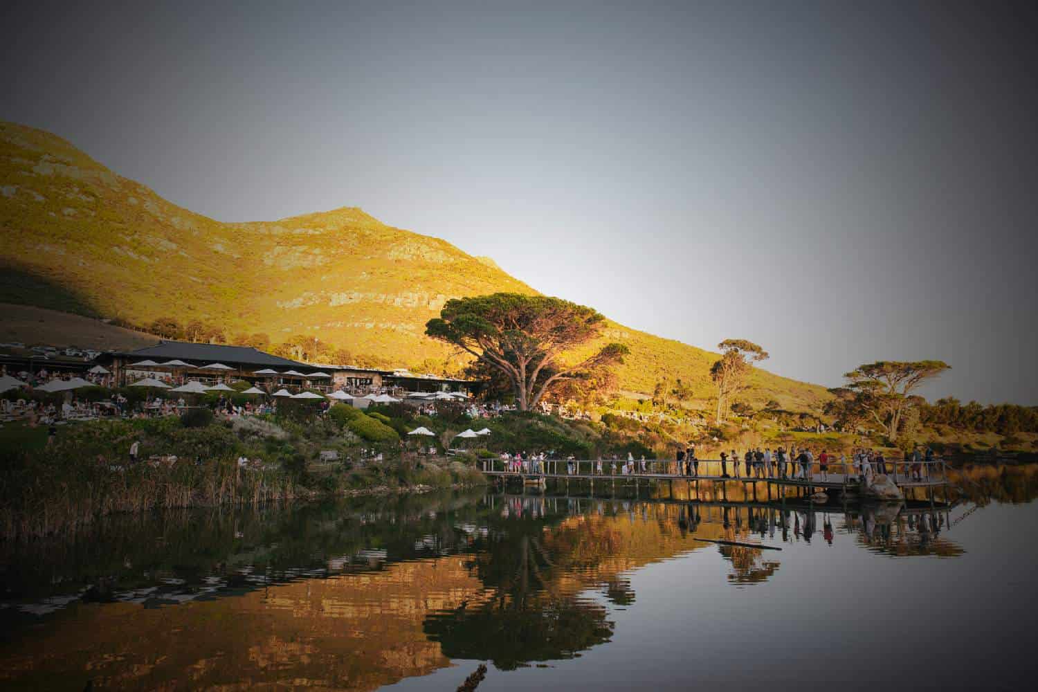 Cape Point vineyards