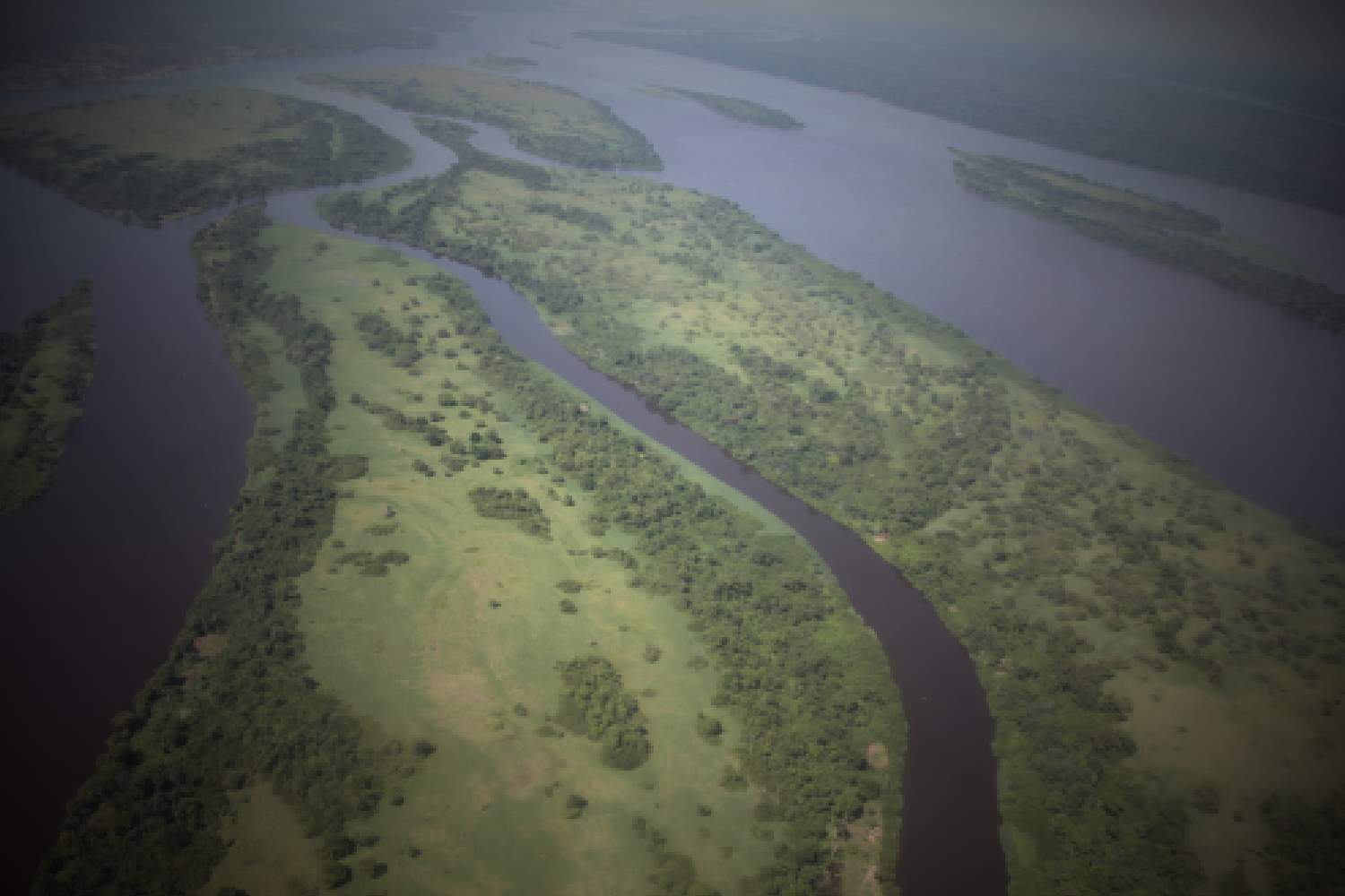 congo basin