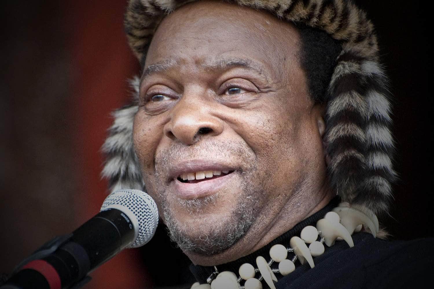king goodwill zwelithini