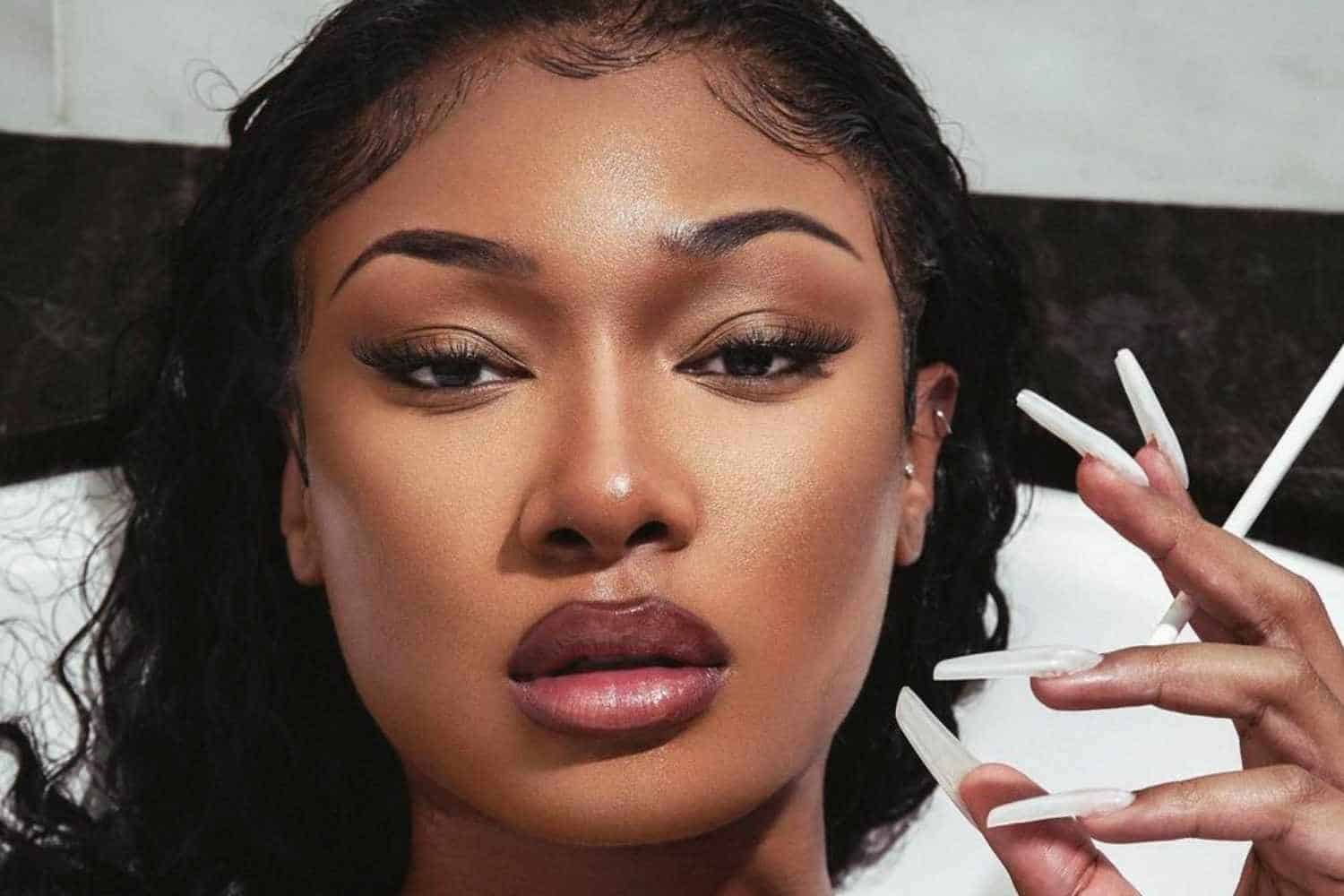Megan thee stallion plan b