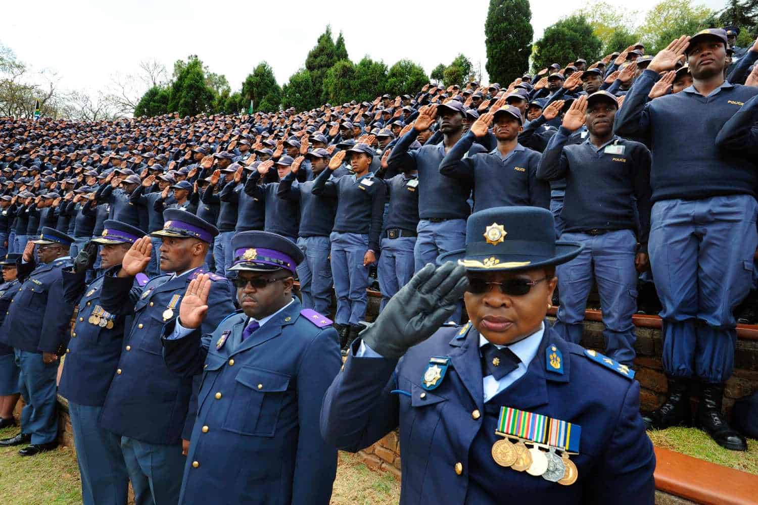 riana stander crimen injuria