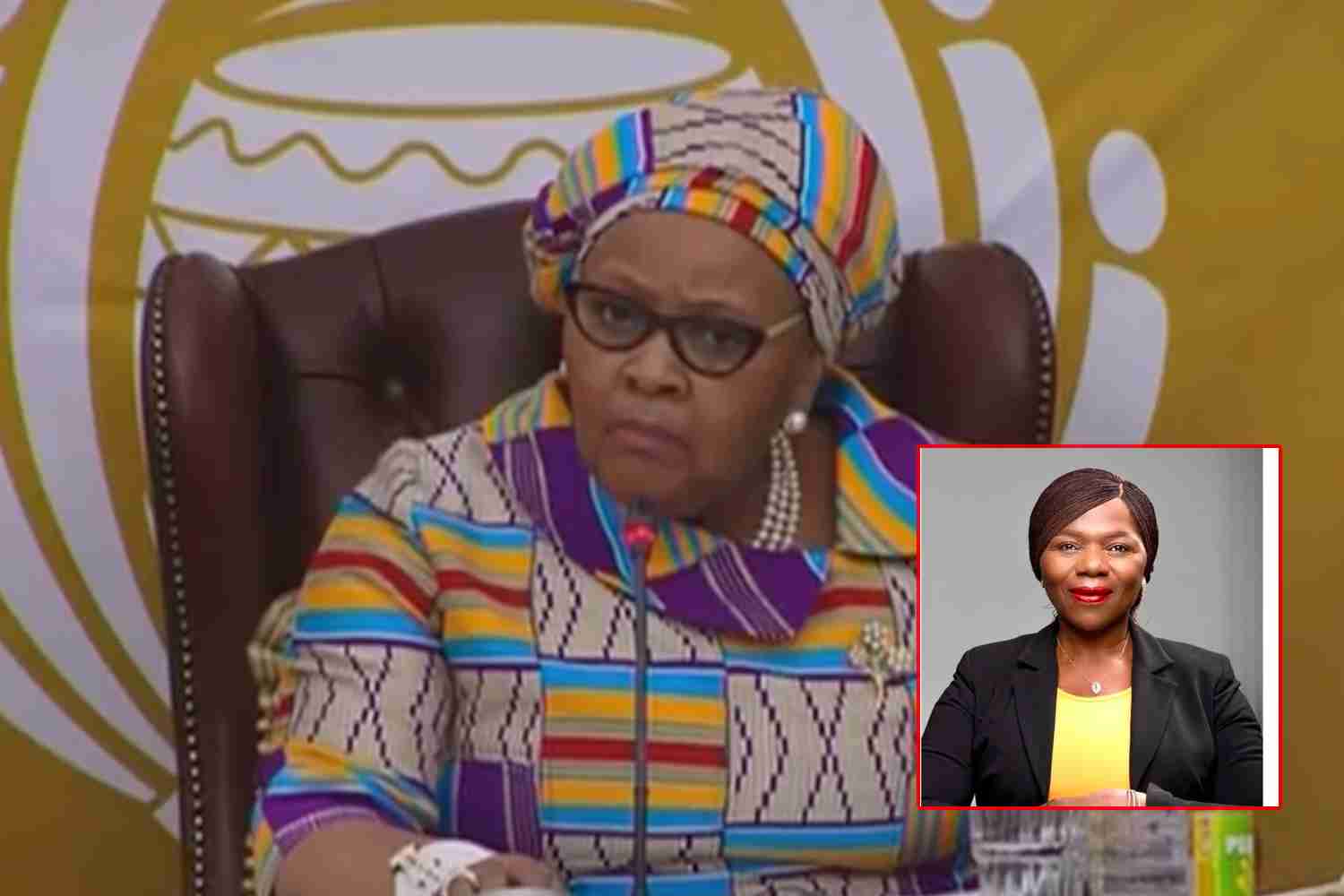 2022 budget vote thuli madonsela