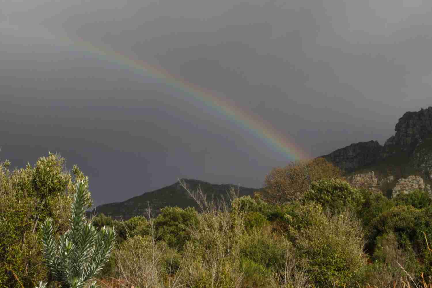 Cape Town weather warnings orange level 9 yellow level 4
