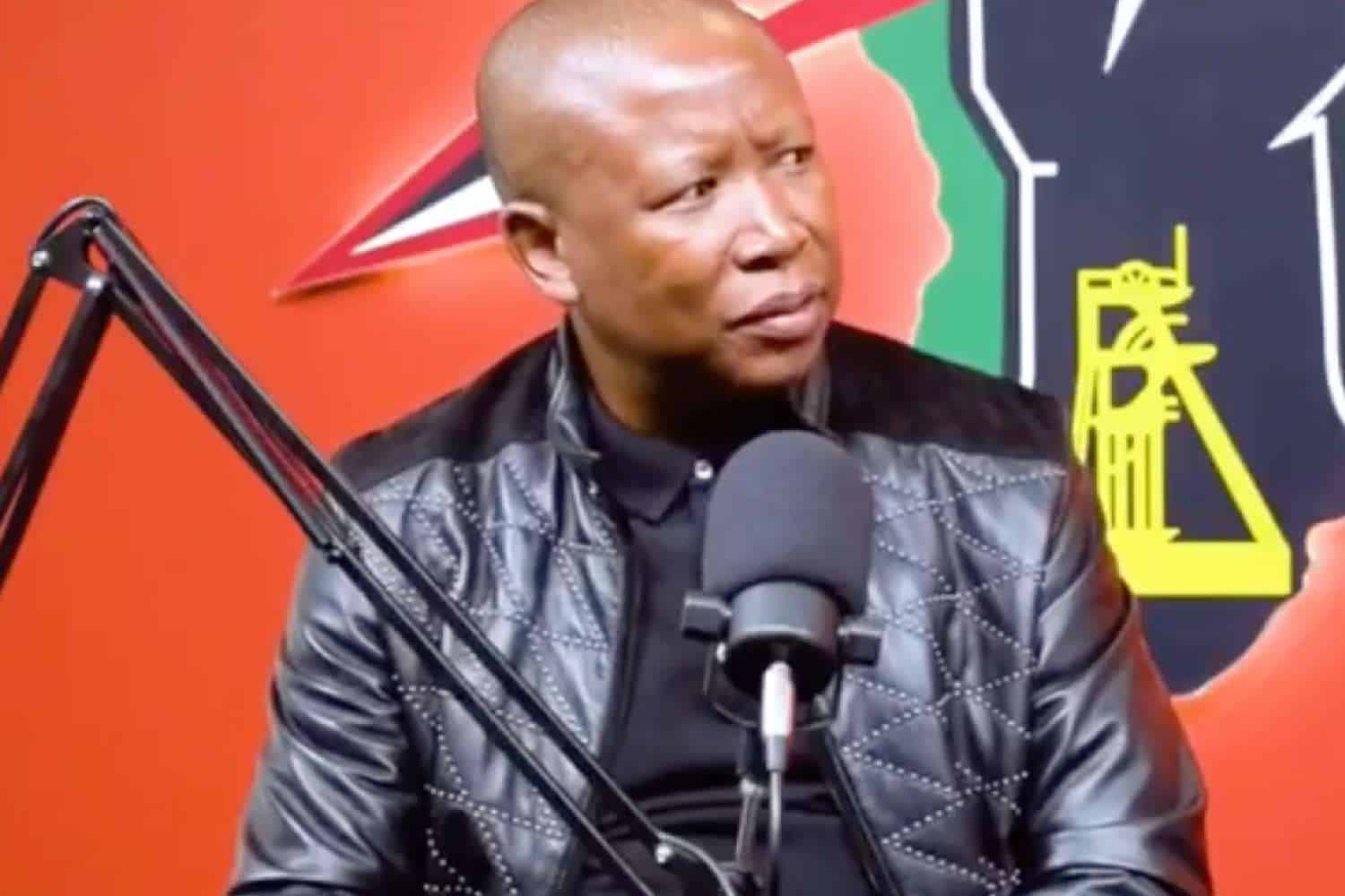 Julius malema MacG ibiza