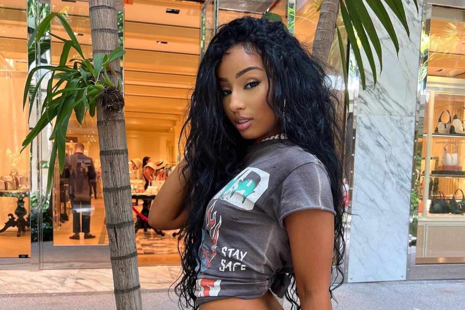 rubi rose adin ross n-word