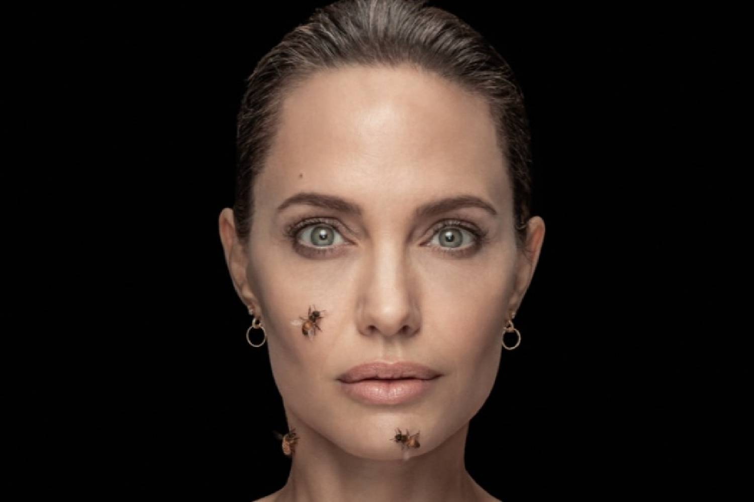 Angelina jolie