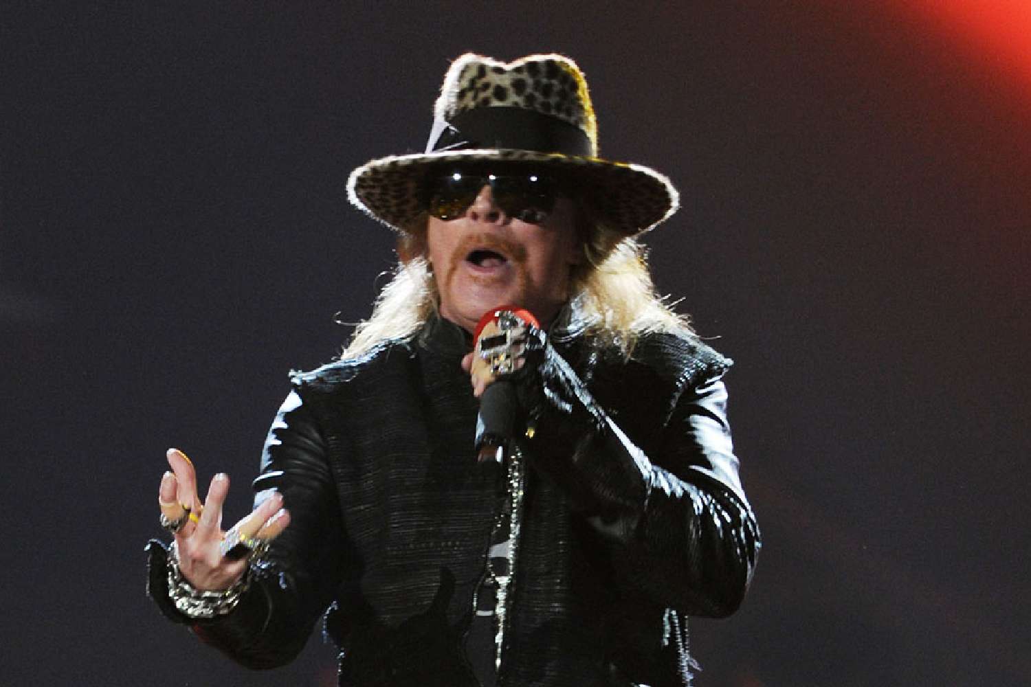 Axl rose guns n roses