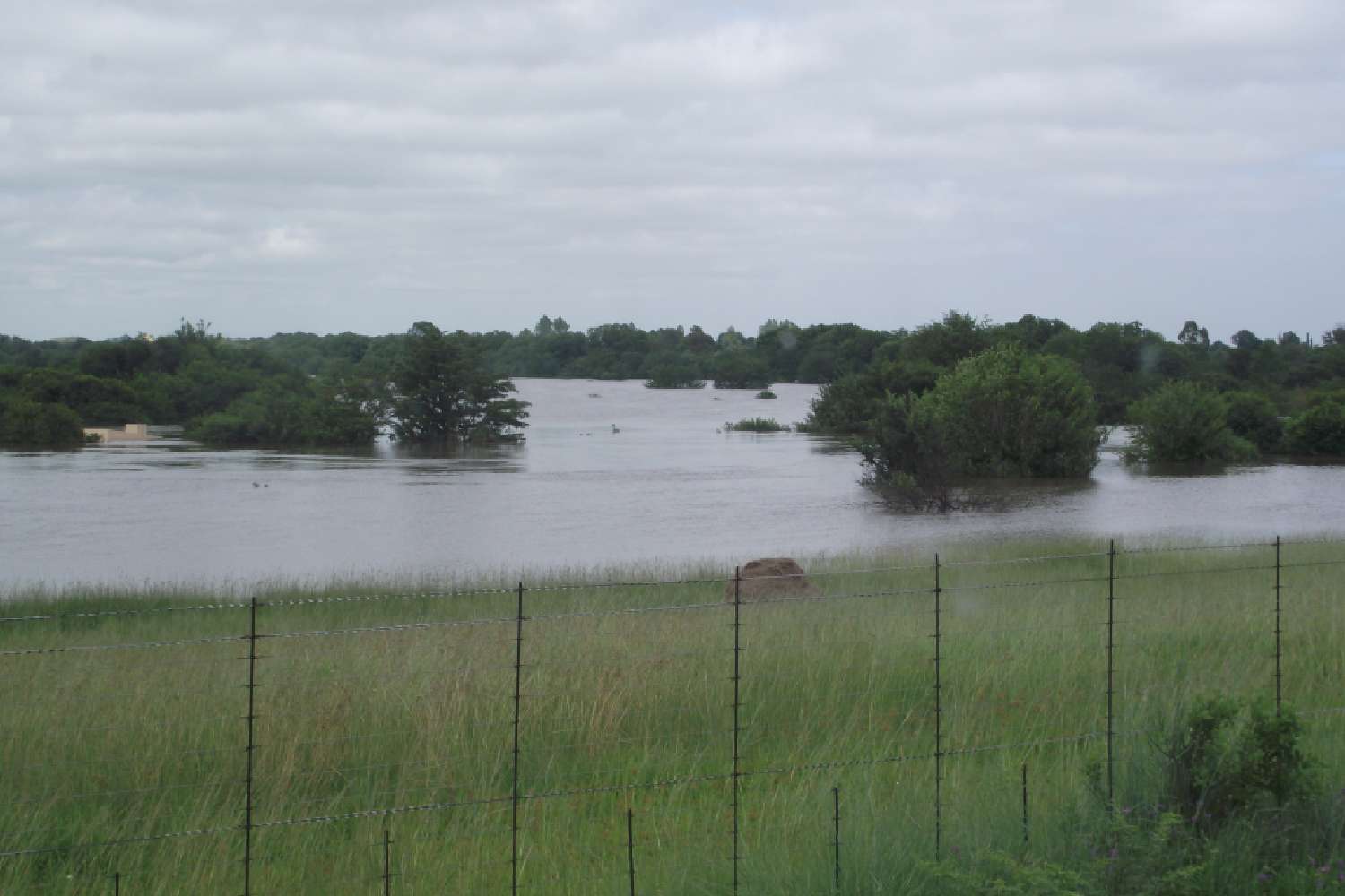 gauteng floods