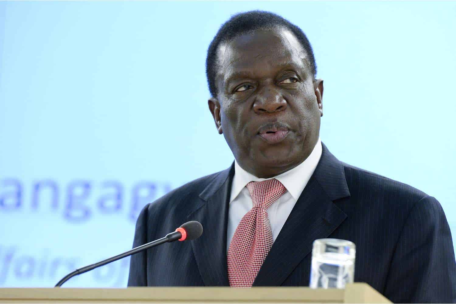 zimbabwe gold mafia