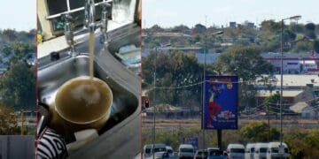 hammanskraal cholera outbreak death toll