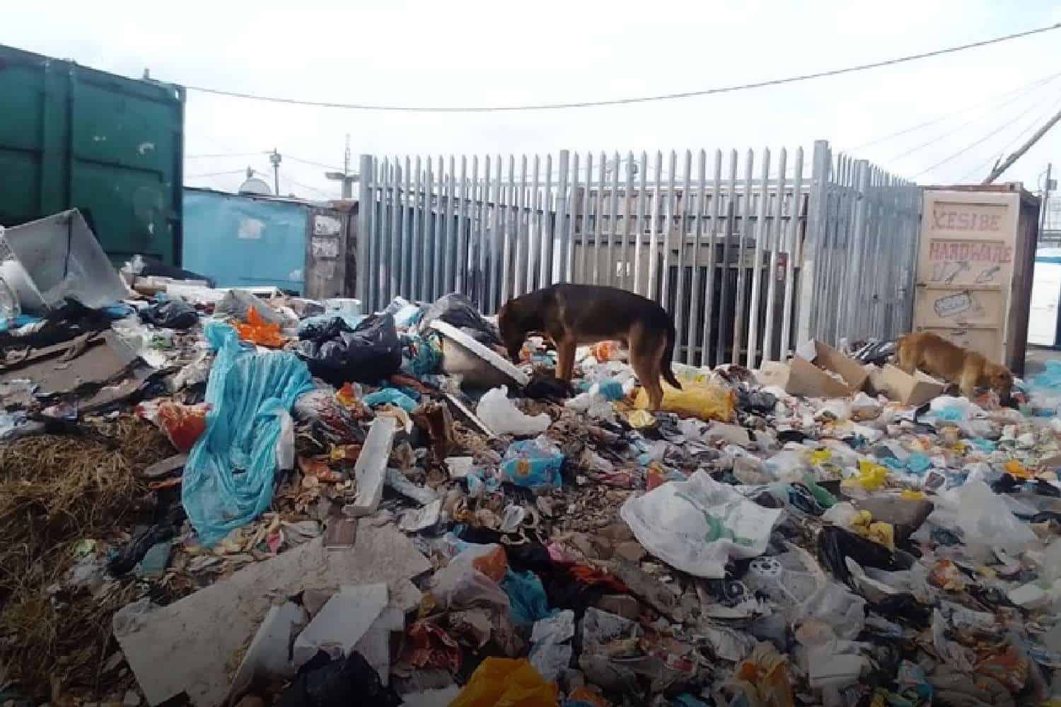 Philippi waste collection