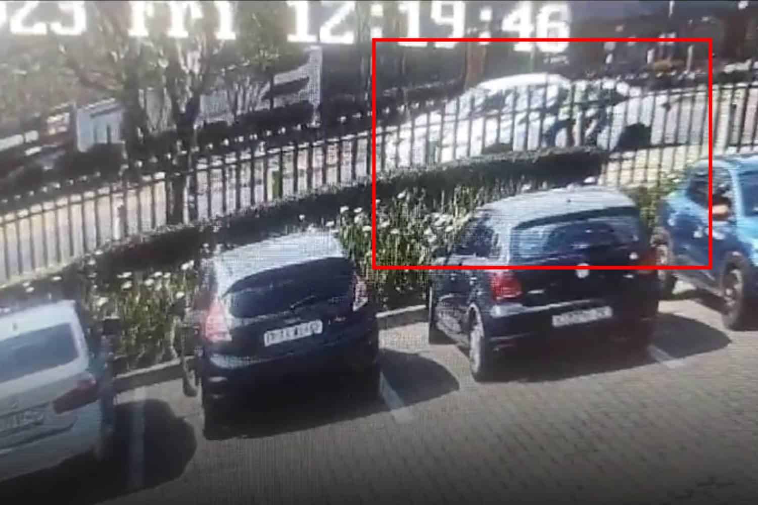 boksburg double murder cctv