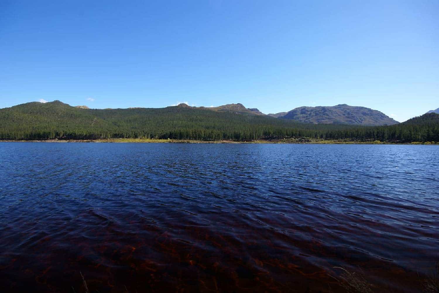 Western Cape dam levels