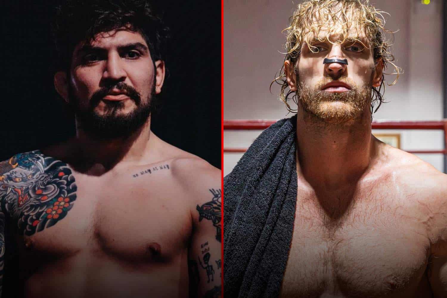 dillon Danis logan paul boxing match how to watch live south africa