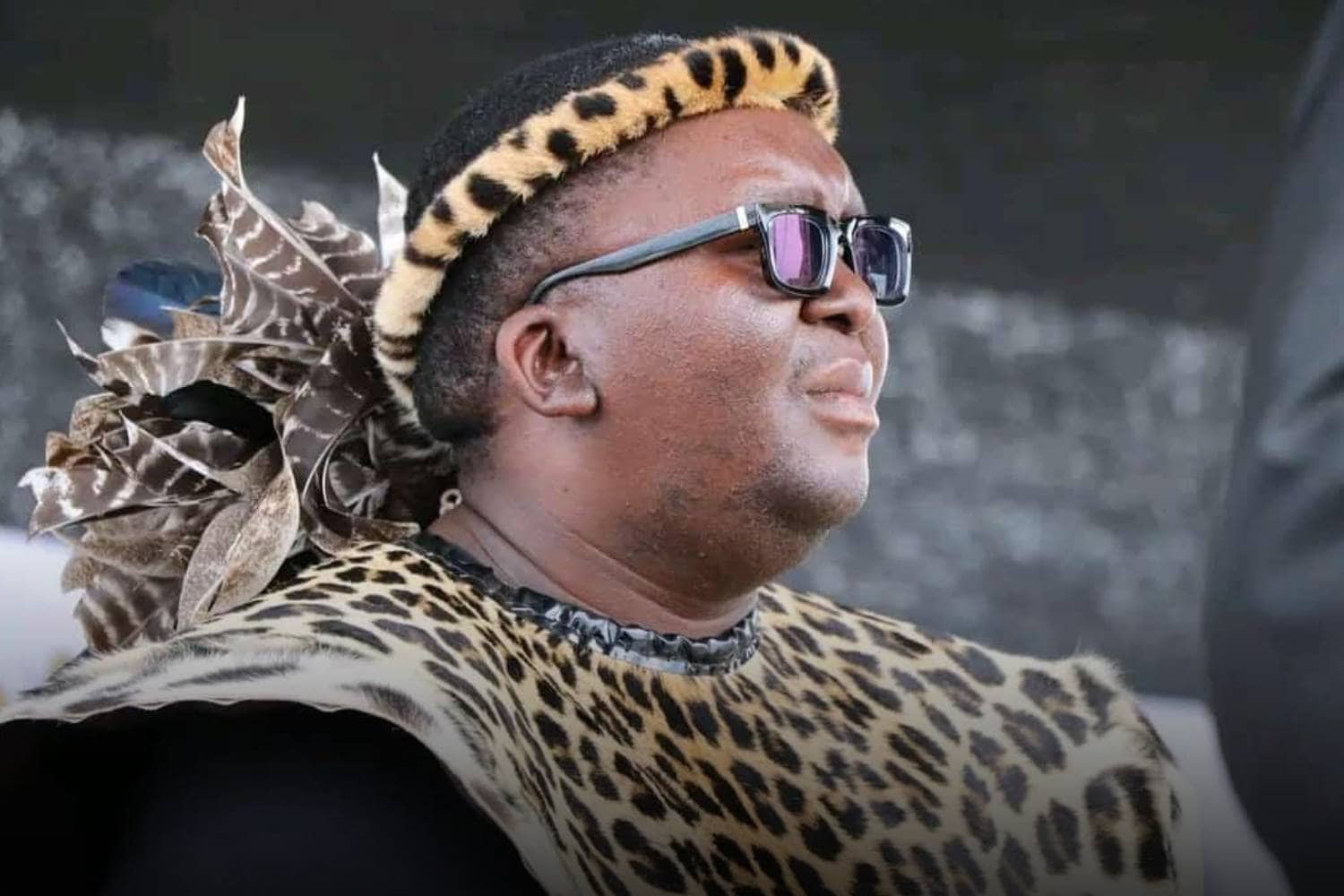 who is thulasizwe Buthelezi zulu nation prime minister