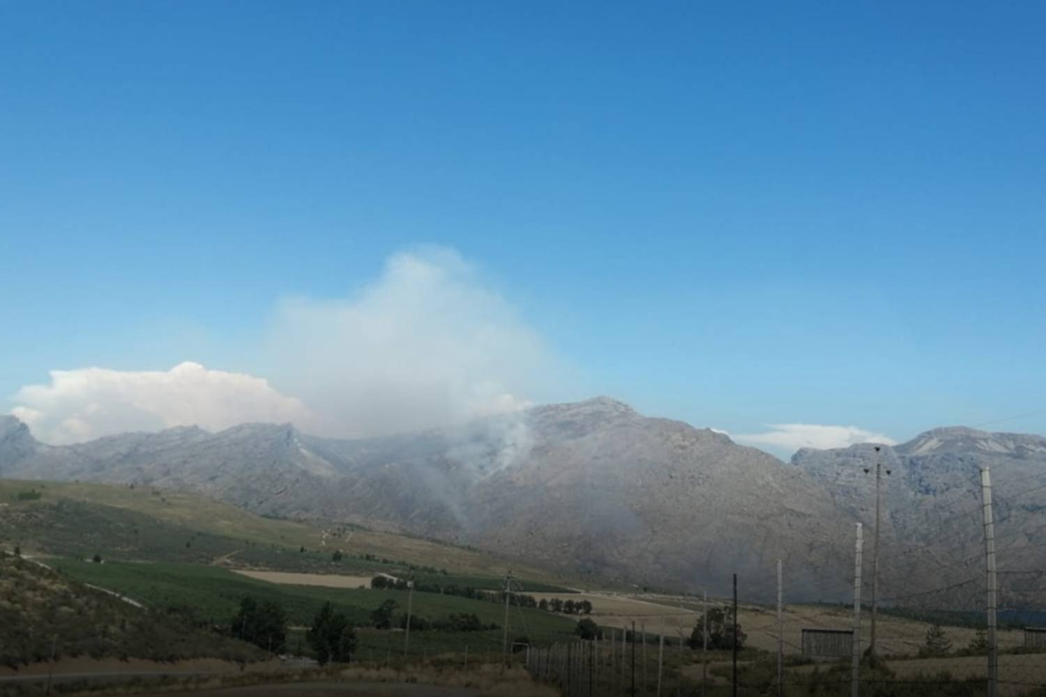 brandvlei prison fire