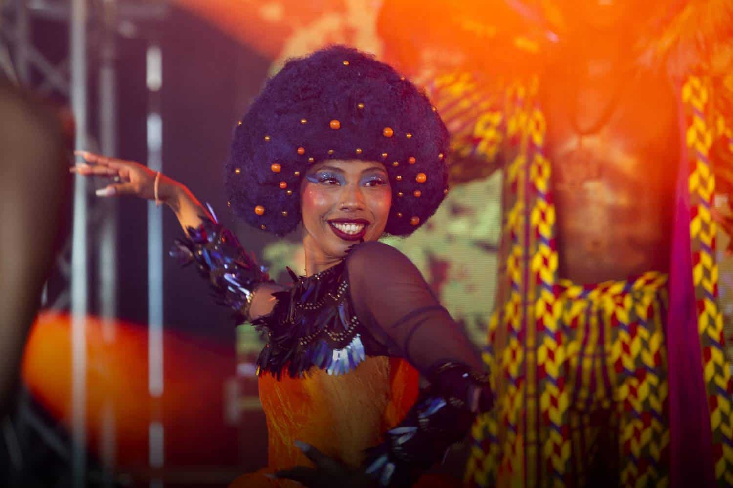 Cape Town carnival 2024 road closures