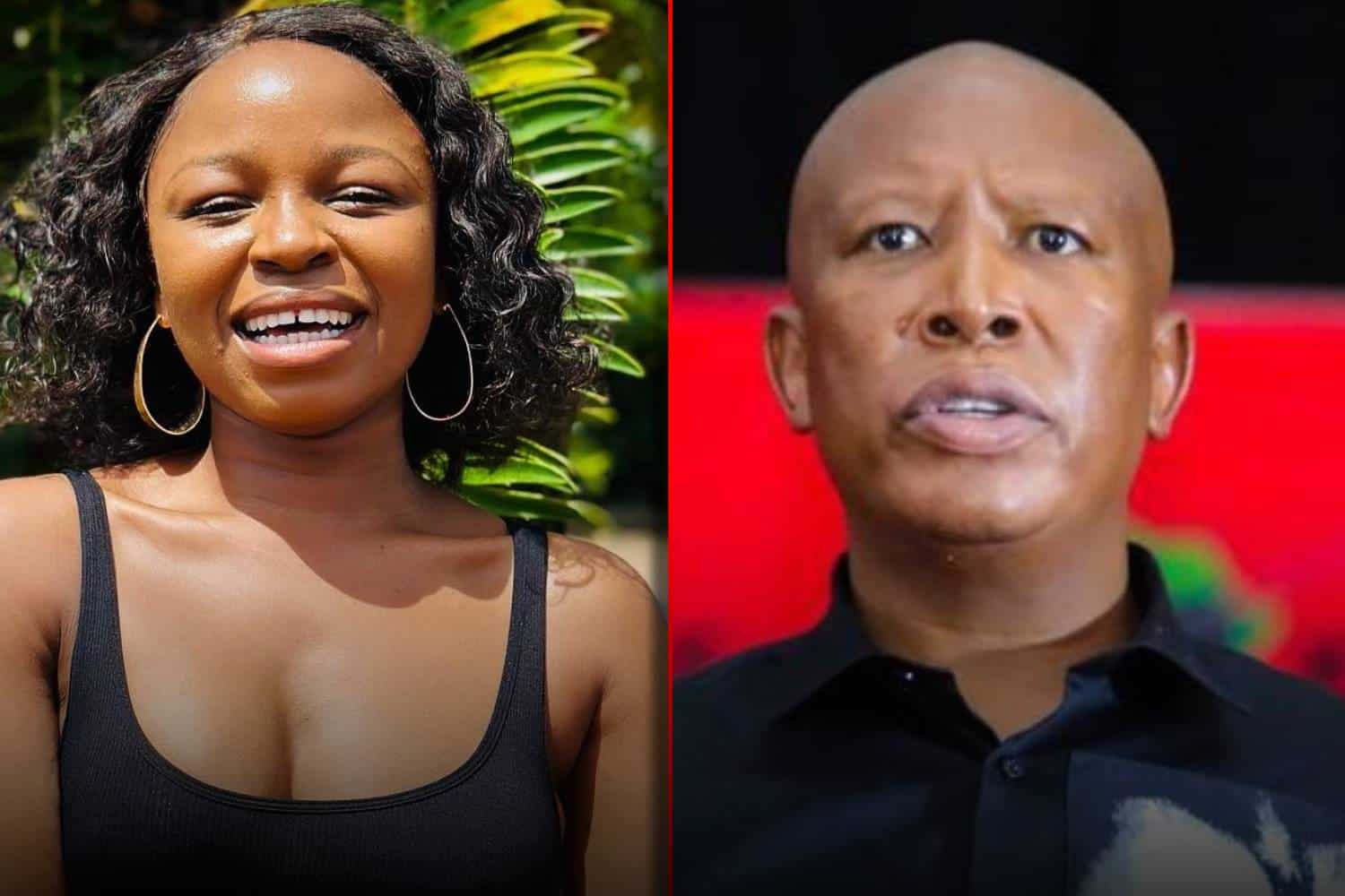 naledi chirwa Julius malema apology letter
