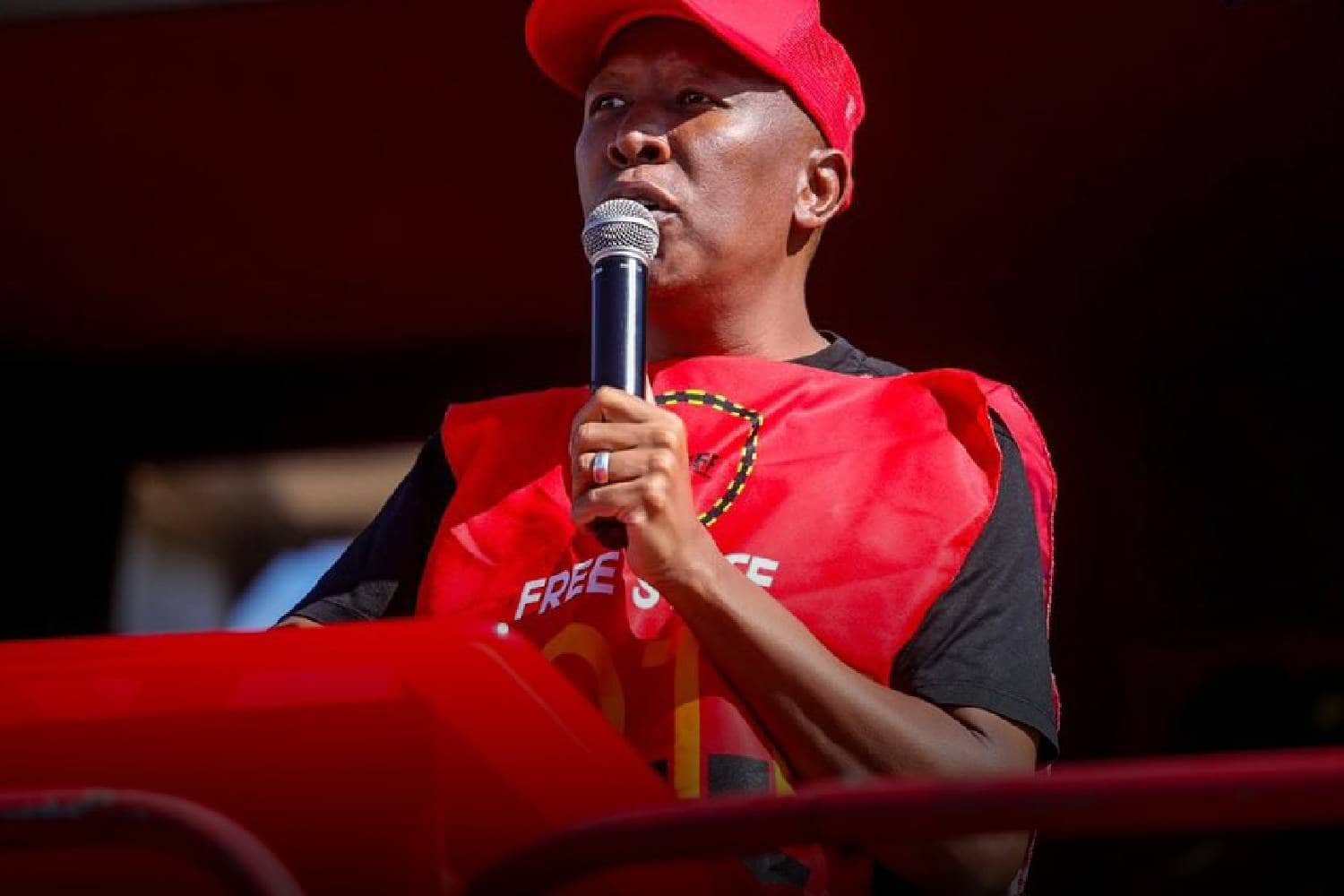 Julius malema eff rally