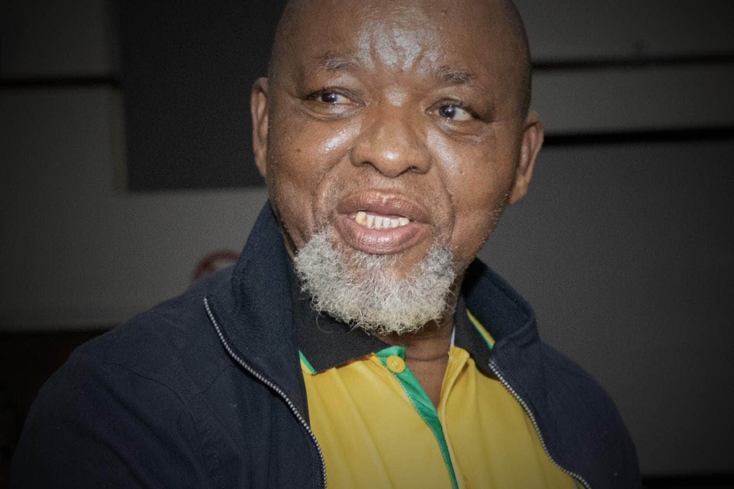 gwede mantashe