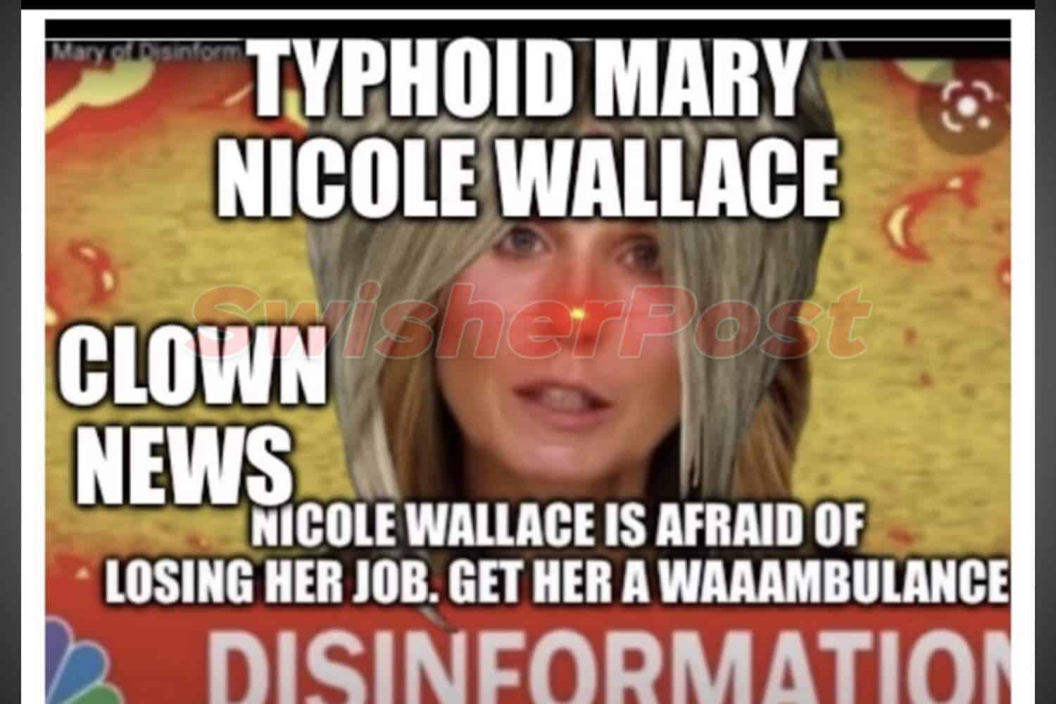 nicolle wallace fake news social media post