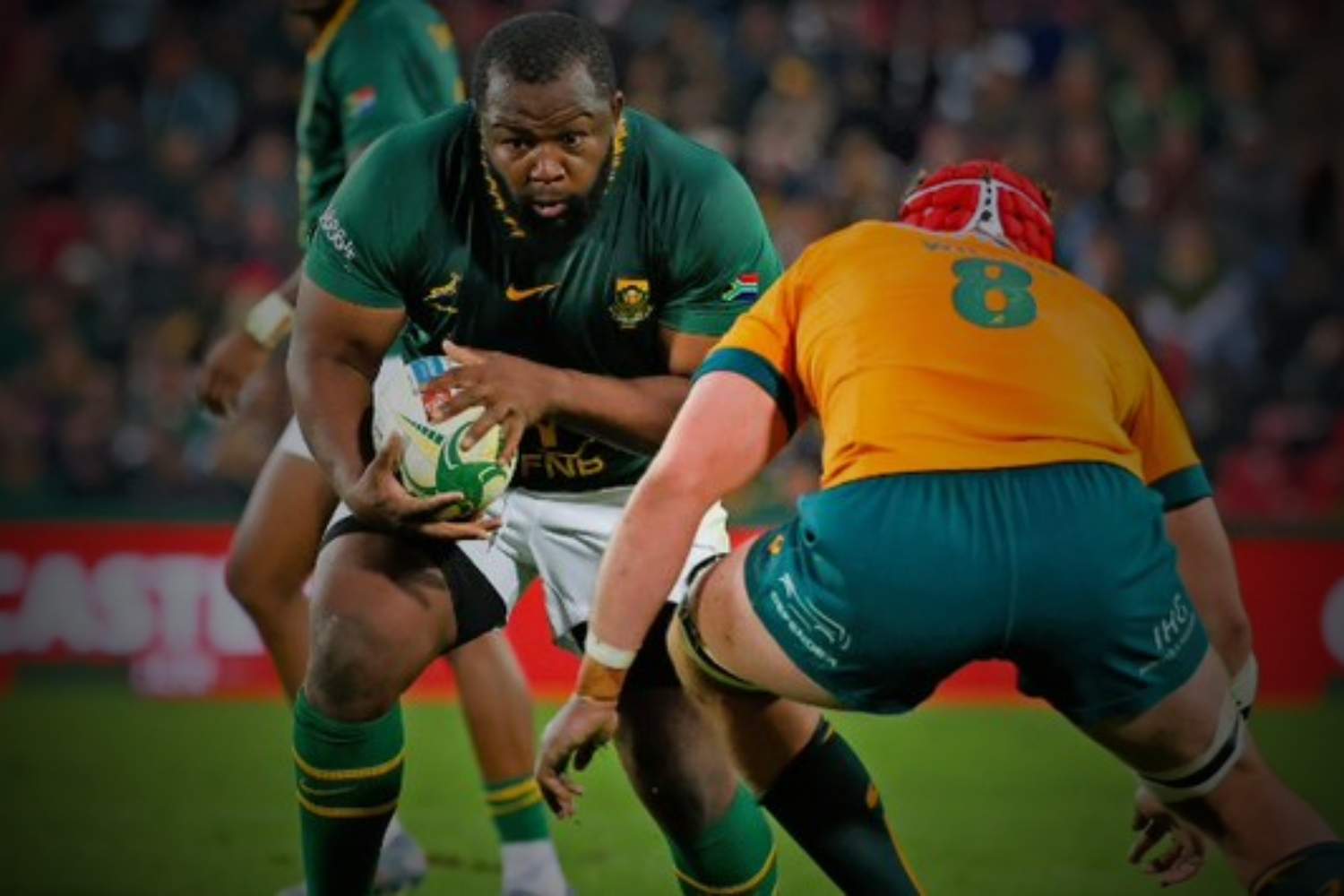 Springboks vs Australia: Teams, how to watch live, predictions