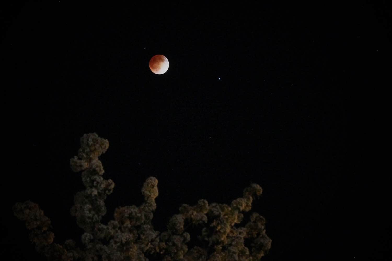 blood moon NASA