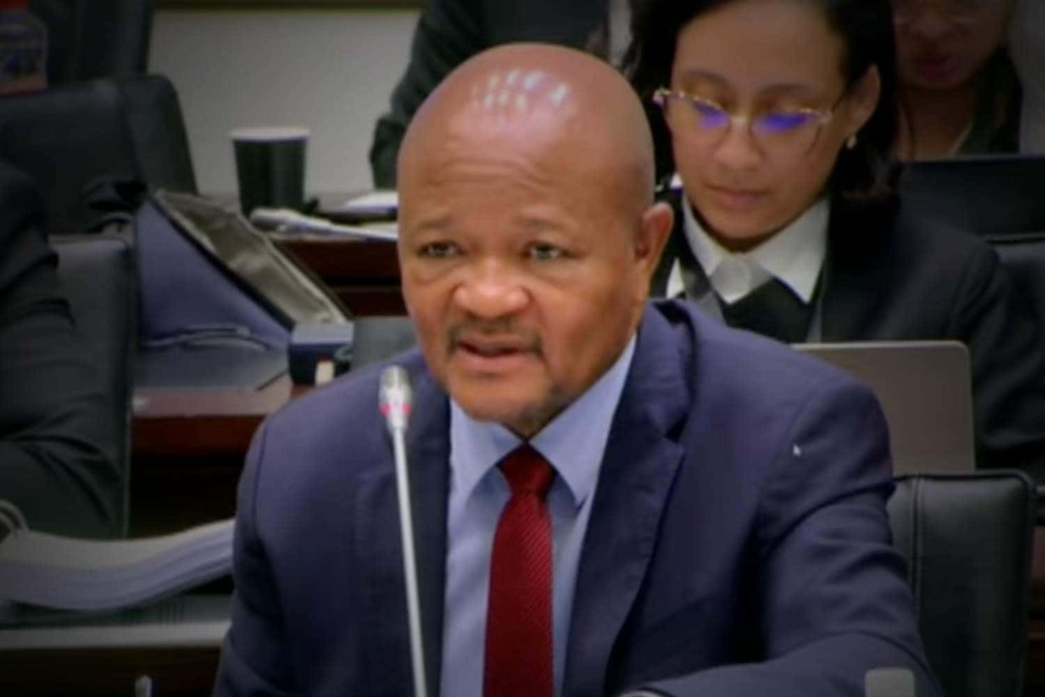 senzo mchunu ad hoc committee parliament