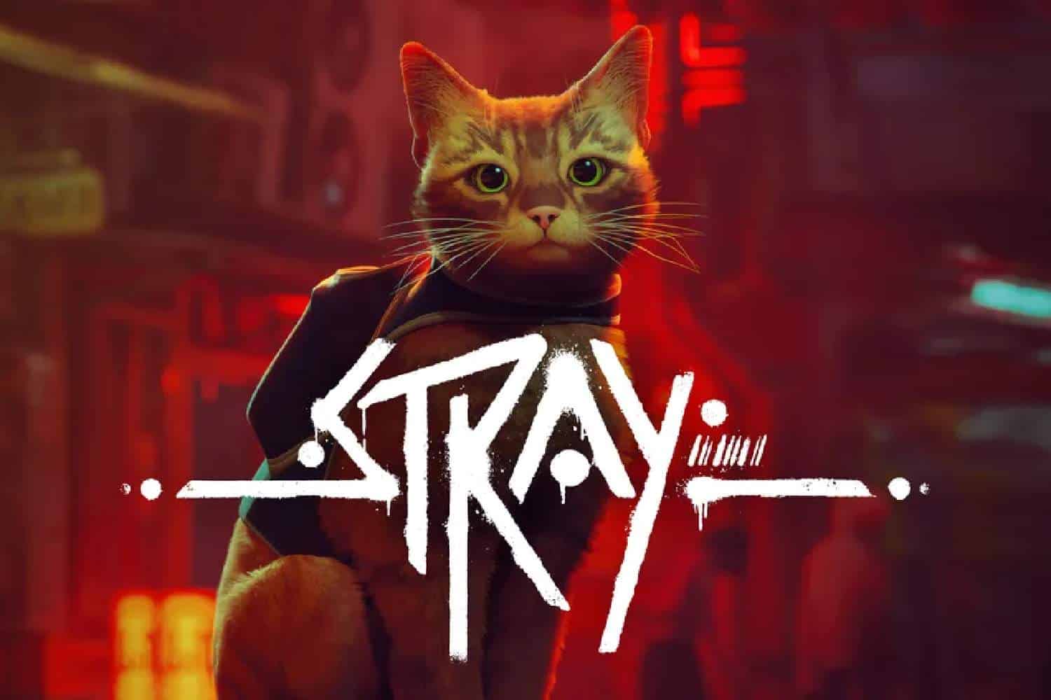 stray